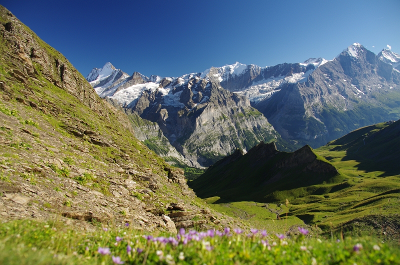 24h Hike Mammut_Ochsner 'Schwarzhorn_First 2166m' 18_08_2012 (50).JPG